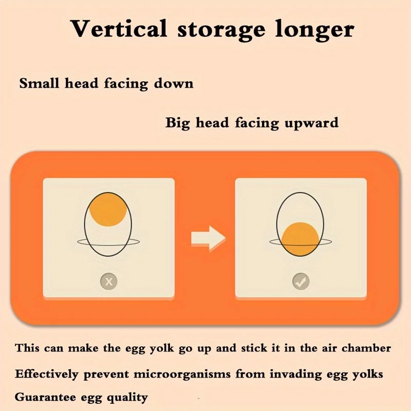 1 szt. Pudełko do przechowywan – Food Storage Eggs recenzja i cena
