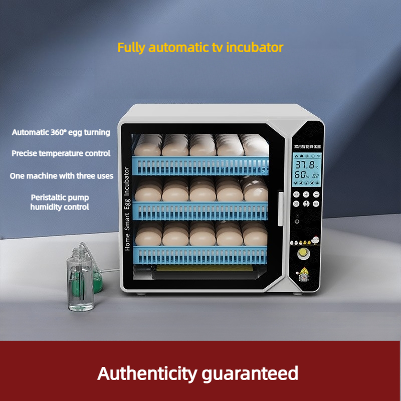 Inkubator Inteligentny pojemni – Food Storage Eggs recenzja i cena
