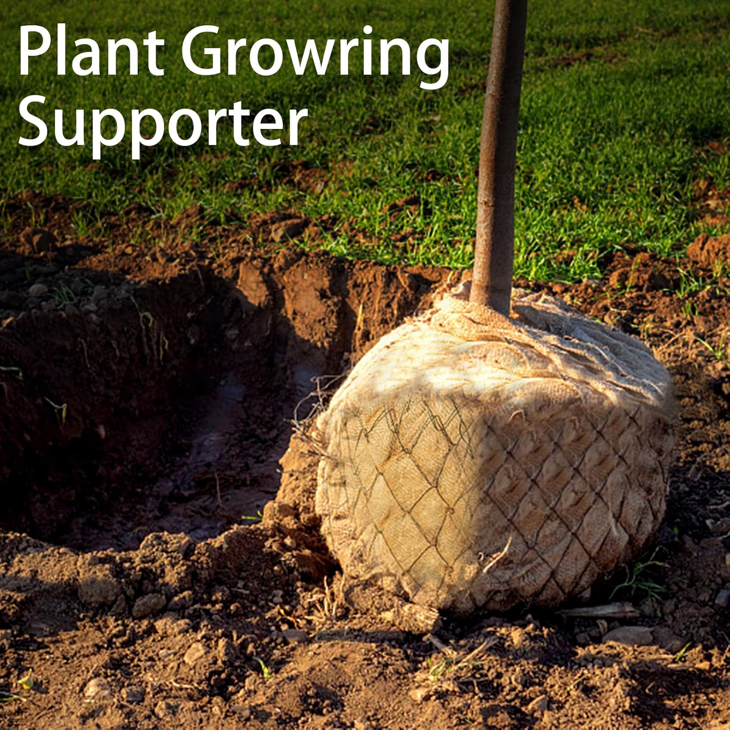 1 opakowanie Worki na ziemniak – Food Storage In Roots recenzja i cena
